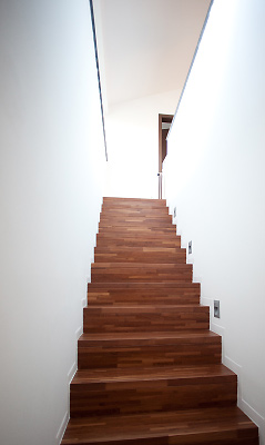 modernes_holzhaus001.jpg